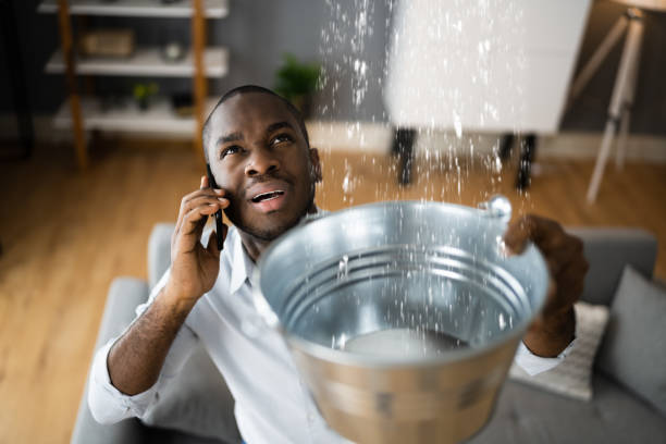 Best Ceiling water damage repair  in Jacksboro, TX