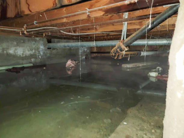 Best Commercial water damage restoration  in Jacksboro, TX