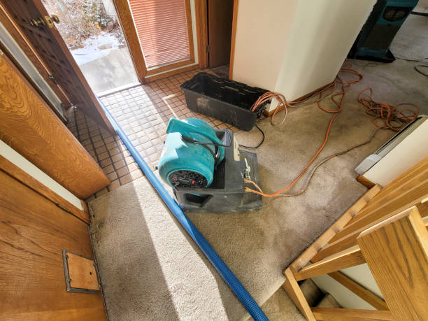 Best Sewage cleanup and water damage restoration  in Jacksboro, TX