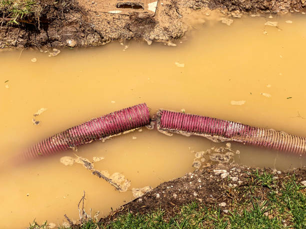 Best Local water damage restoration  in Jacksboro, TX