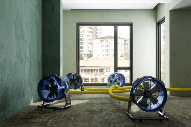 Best Emergency water damage restoration  in Jacksboro, TX
