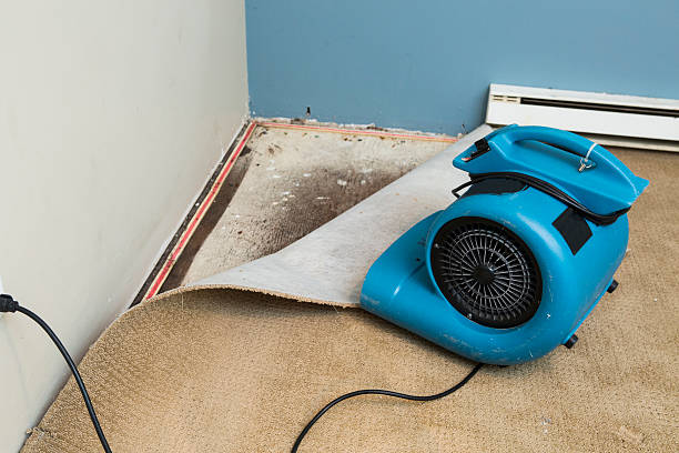 Reliable Jacksboro, TX Water damage restoration Solutions